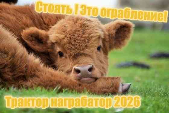 Специальные услуги домашней чистоплотности.Уборка сектора обитания,вывоз мусорища. Донецк