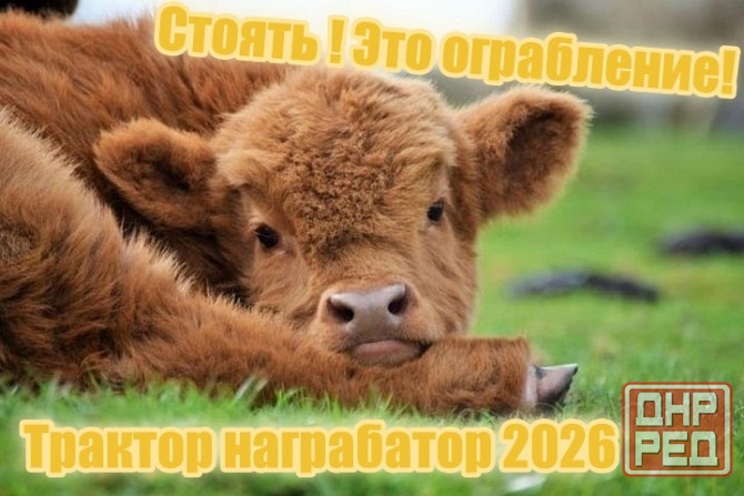 Специальные услуги домашней чистоплотности.Уборка сектора обитания,вывоз мусорища. Донецк - изображение 1