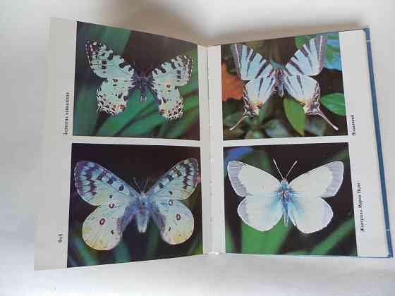 Книга "Летающие цветы" Донецк