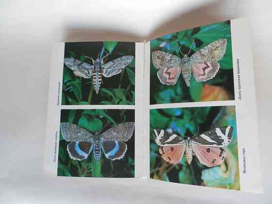 Книга "Летающие цветы" Донецк