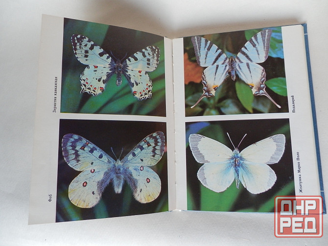 Книга "Летающие цветы" Донецк - изображение 3