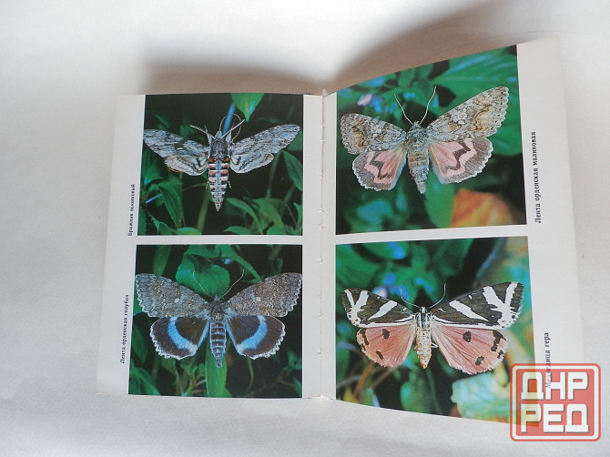 Книга "Летающие цветы" Донецк - изображение 5