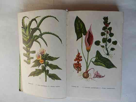 Книга "Лекарственные растения Донбасса" Донецк