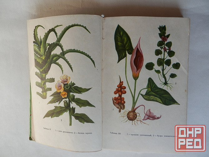 Книга "Лекарственные растения Донбасса" Донецк - изображение 5