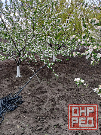 Продается дом Волноваха - изображение 12