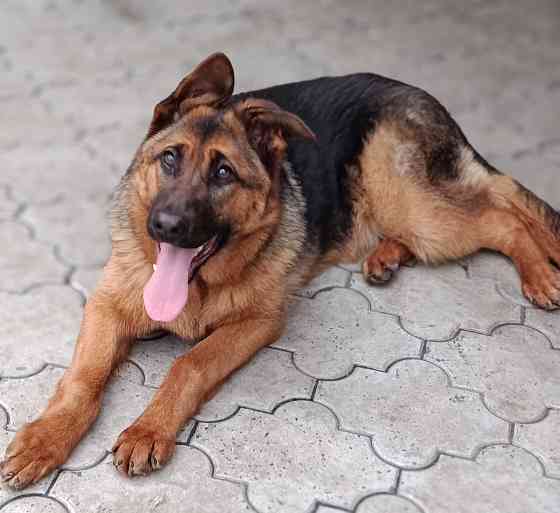 Девочка немочка Донецк