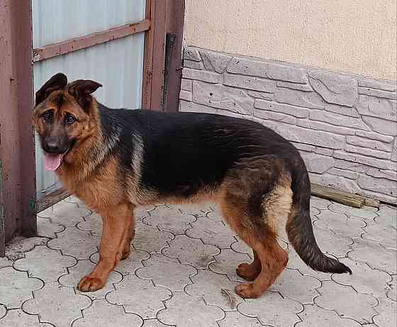 Девочка немочка Донецк