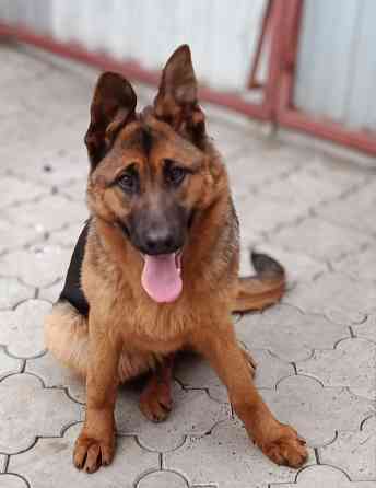 Девочка немочка Донецк