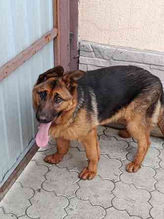 Девочка немочка Донецк