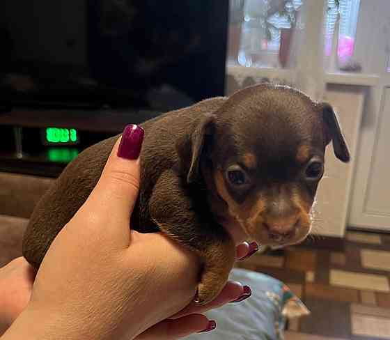 Детки конфетки Донецк