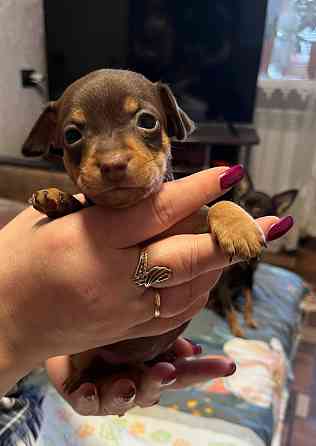 Детки конфетки Донецк