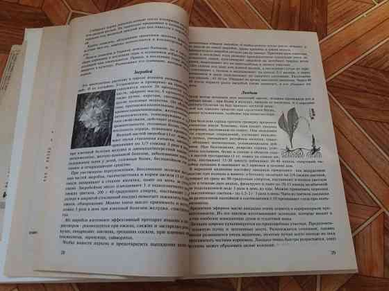 книга в. заика "целебные свойства растений" Донецк