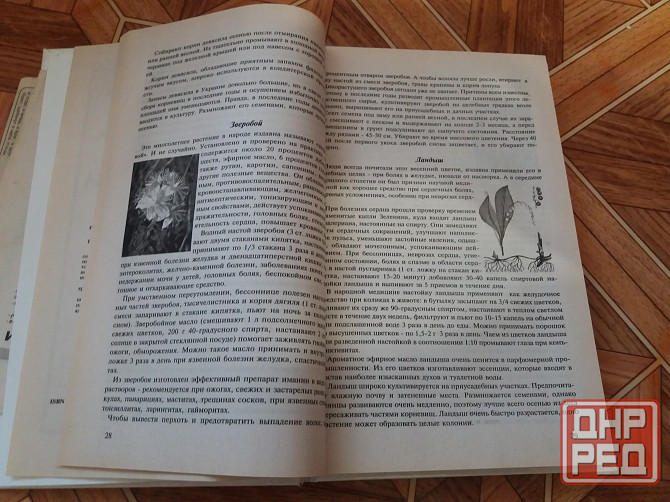 книга в. заика "целебные свойства растений" Донецк - изображение 3