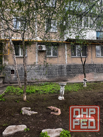 3-к Леиниский исполком, 3/9 Донецк - изображение 1