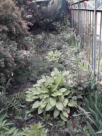 Продам дачу Макеевка