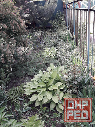 Продам дачу Макеевка - изображение 6