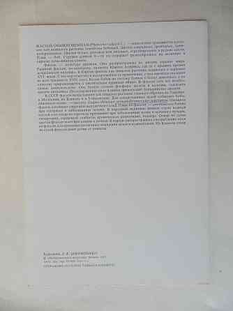 Набор открыток "Лекарственные растения. Выпуск 5"" Донецк