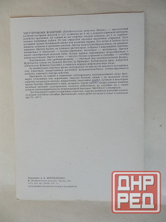 Набор открыток "Лекарственные растения. Выпуск 5"" Донецк - изображение 7