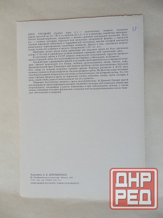 Набор открыток "Лекарственные растения. Выпуск 5"" Донецк - изображение 4