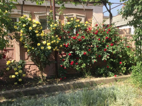 Дом для комфортного проживания Донецк