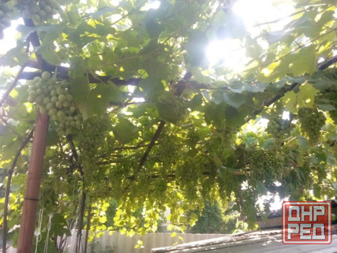 Дом для комфортного проживания Донецк - изображение 7