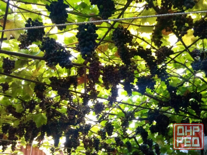 Дом для комфортного проживания Донецк - изображение 8