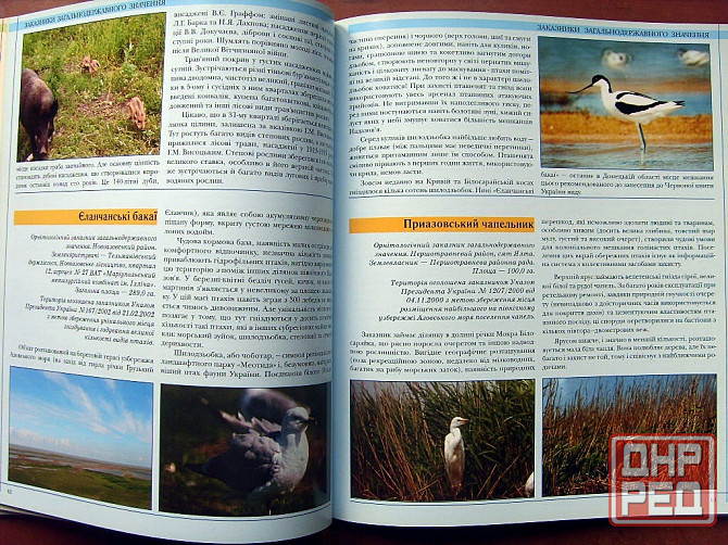 Донбасс заповедный Донецк - изображение 7