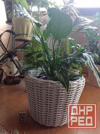Кашпо для цветов из ротанга Донецк - изображение 1