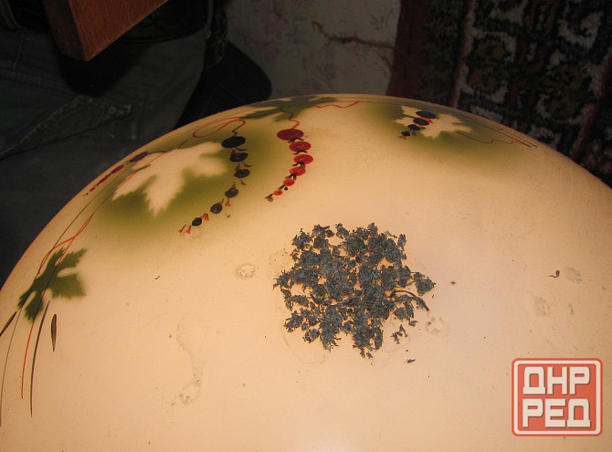 Потому что колени "сильные" Донецк - изображение 1