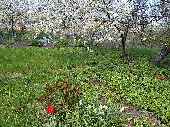 Продам земельный участок в Калининском р-не. Пивоваренный завод. Донецк