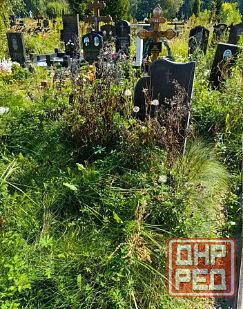 Уборка Могилок Донецк - изображение 2