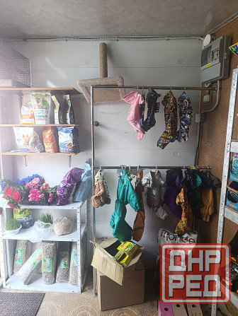 Продам готовый бизнес зоотовары Донецк - изображение 3