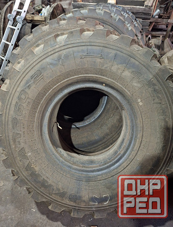 Шины Урал, Камаз вездеход 1260 425 85 r21 1220 400 533 r20 Красный Луч - изображение 4