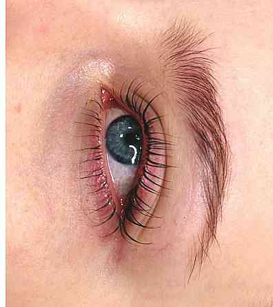 Ламинирование ресниц Донецк