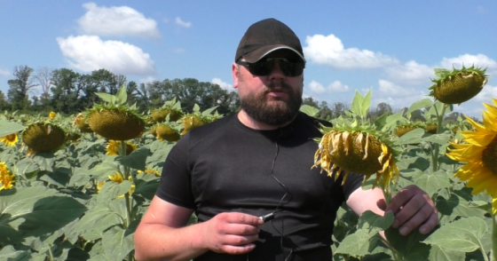 Шізофазия не буде психиатров Донецк