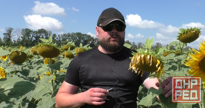 Шізофазия не буде психиатров Донецк - изображение 1