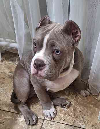 продам Донецк