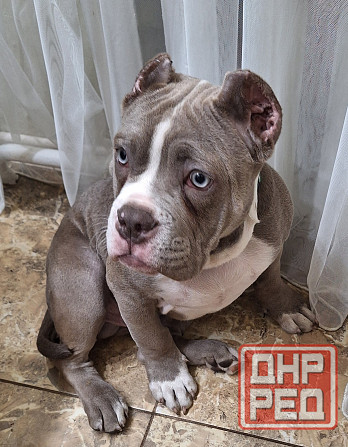 продам Донецк - изображение 1