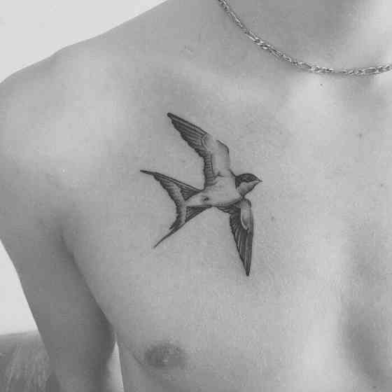 Птицы ночью, Котович Green Донецк