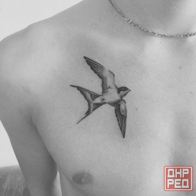 Птицы ночью, Котович Green Донецк - изображение 1