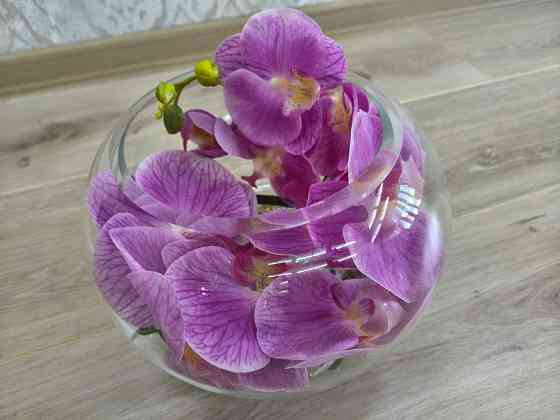 Круглая ваза, прозрачная. Новая Донецк