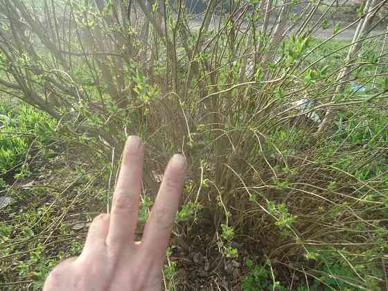 Что Эрикссон не борт, а "угол" Донецк