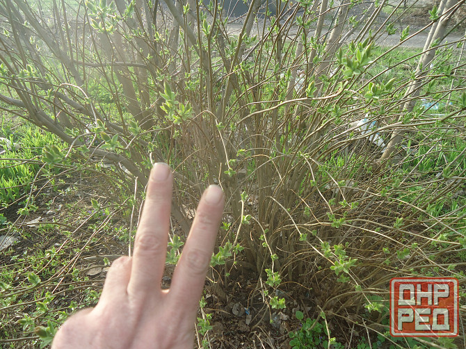 Что Эрикссон не борт, а "угол" Донецк - изображение 1