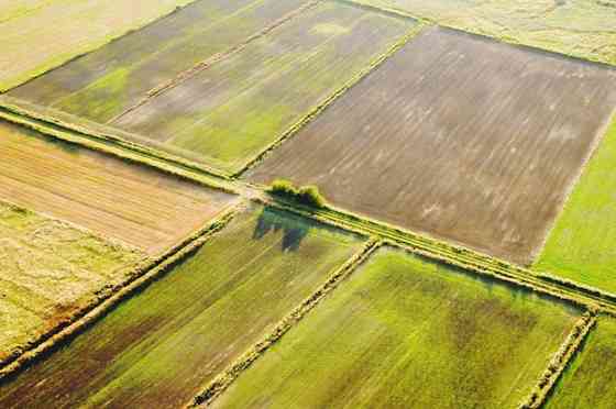 Продаётся сельскохозяйственное угодье Волноваха