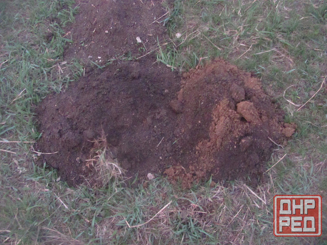 Почему-то Фбр ориентировку Донецк - изображение 1