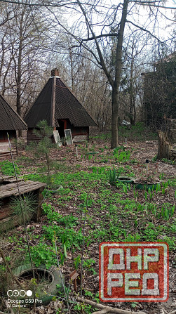 Продам кафе с кафе летнего типа Донецк - изображение 2