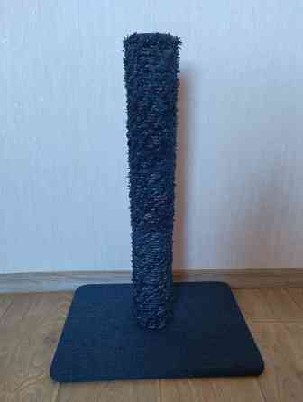 Новые когтеточки Донецк