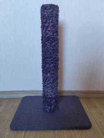 Новые когтеточки Донецк