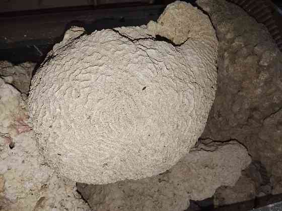 Сухой рифовый камень Донецк