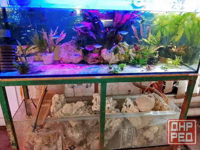 Сухой рифовый камень Донецк - изображение 1